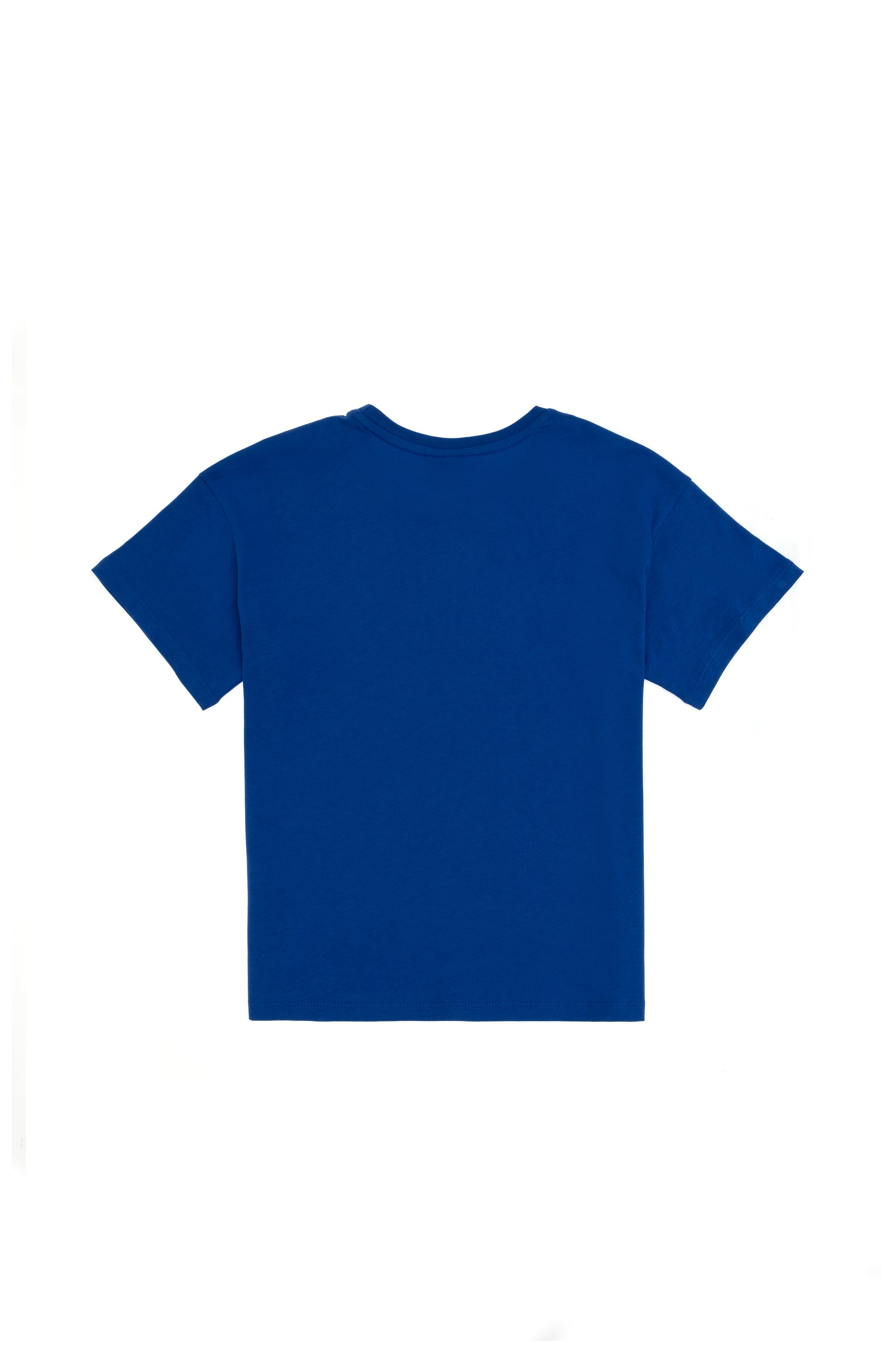 Tricou Băieți Albastru Cu Guler Rotund Și Print USPA