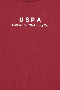 Tricou Băieți Roșu Cărămiziu Oversize Cu Guler Rotund Și Logo USPA 