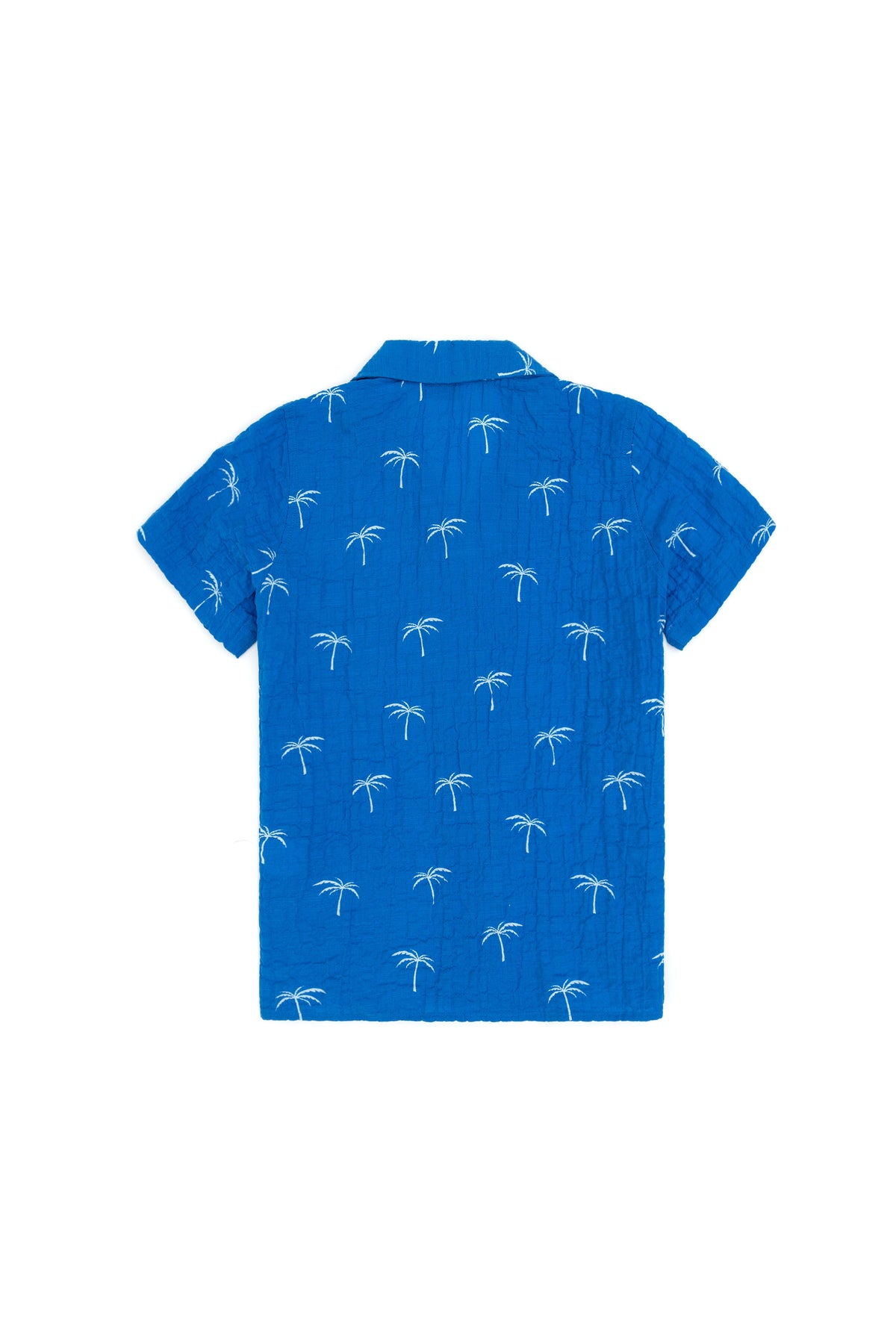 Cămașă Cu Mânecă Scurtă Băieți Pe Albastru Cu Imprimeu Palmier